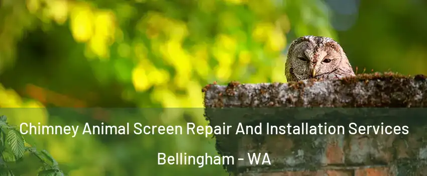  Chimney Animal Screen Repair And Installation Services Bellingham - WA