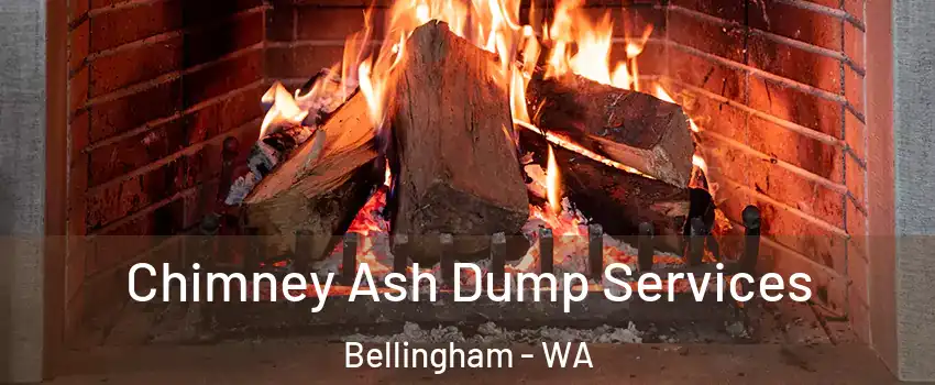  Chimney Ash Dump Services Bellingham - WA