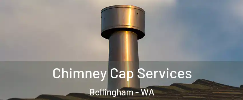  Chimney Cap Services Bellingham - WA