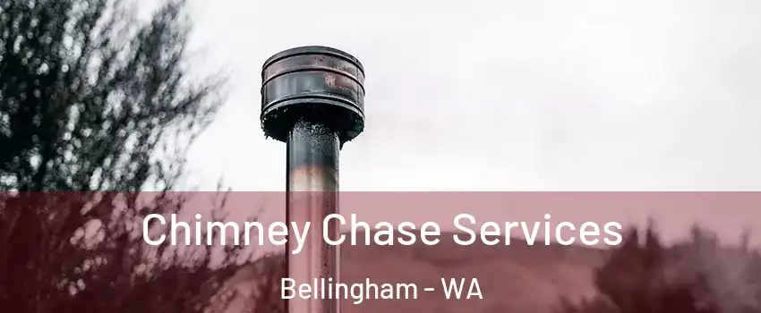  Chimney Chase Services Bellingham - WA