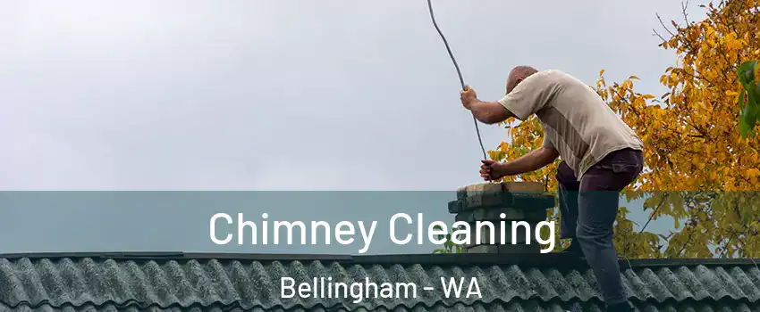  Chimney Cleaning Bellingham - WA