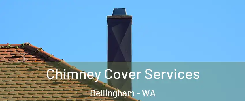  Chimney Cover Services Bellingham - WA