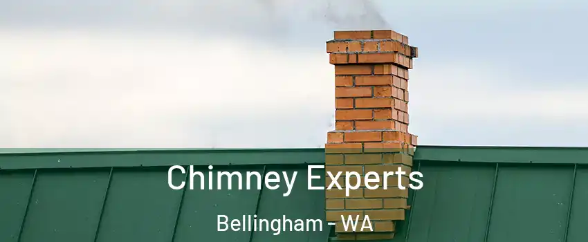  Chimney Experts Bellingham - WA