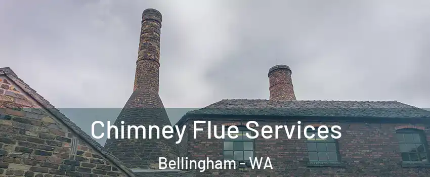  Chimney Flue Services Bellingham - WA