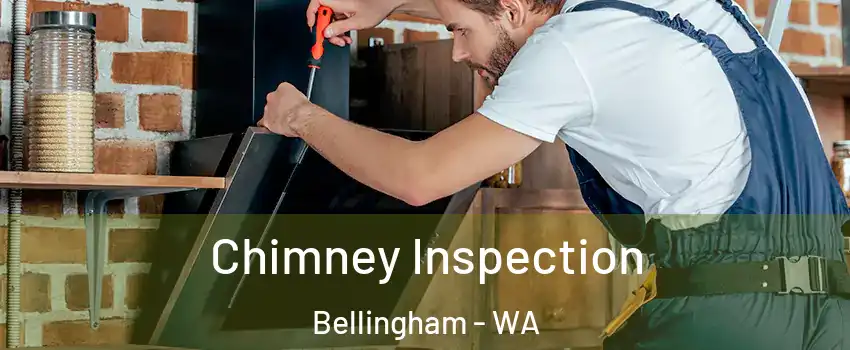  Chimney Inspection Bellingham - WA