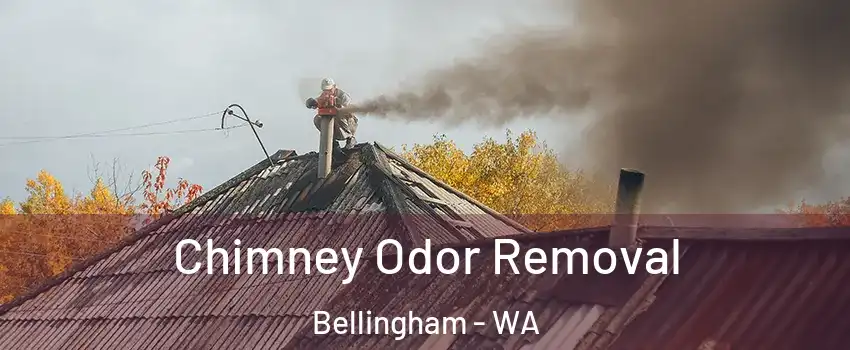  Chimney Odor Removal Bellingham - WA