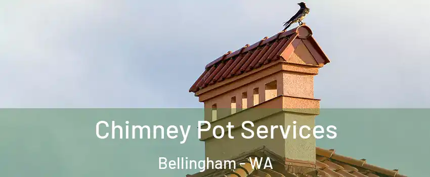 Chimney Pot Services Bellingham - WA