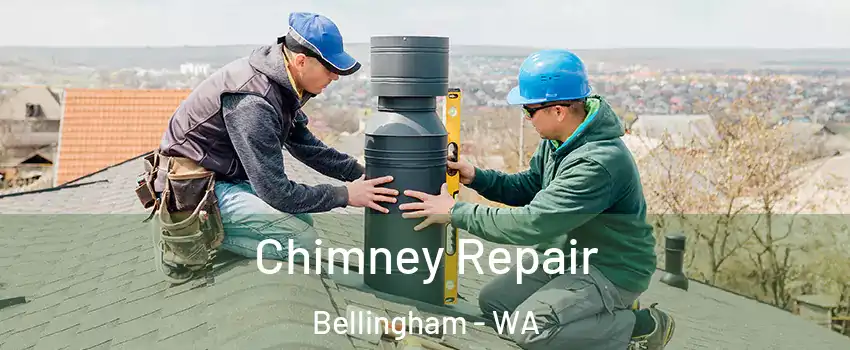  Chimney Repair Bellingham - WA