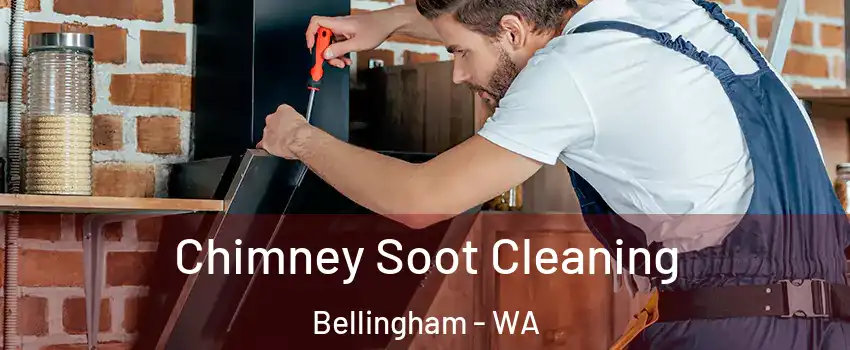  Chimney Soot Cleaning Bellingham - WA