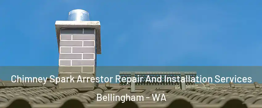  Chimney Spark Arrestor Repair And Installation Services Bellingham - WA