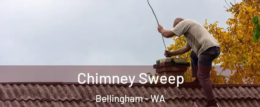  Chimney Sweep Bellingham - WA