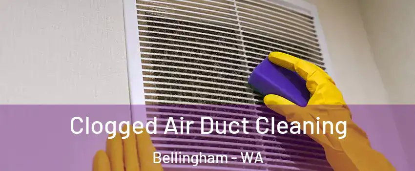  Clogged Air Duct Cleaning Bellingham - WA