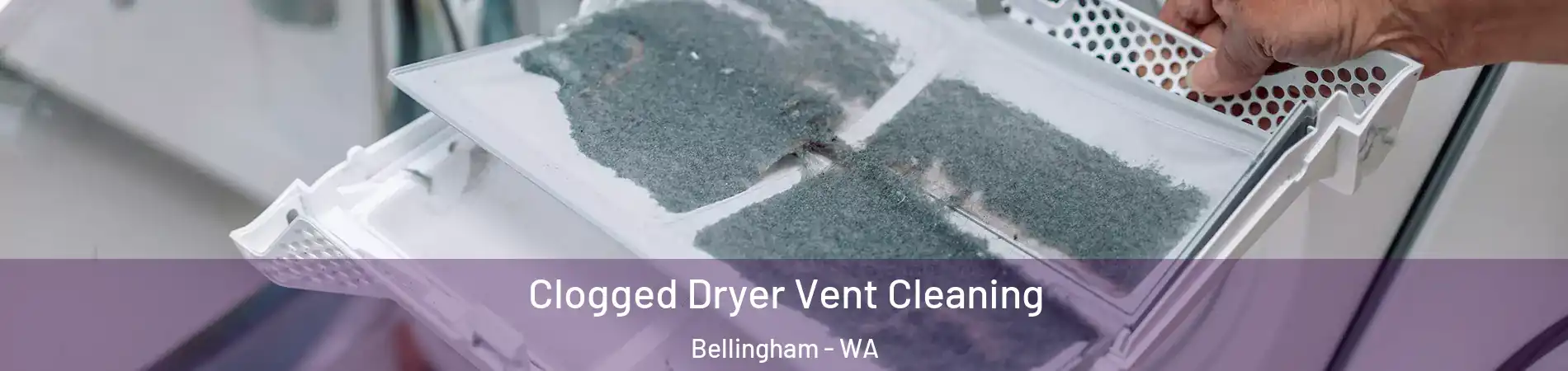  Clogged Dryer Vent Cleaning Bellingham - WA