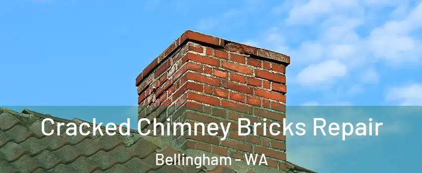  Cracked Chimney Bricks Repair Bellingham - WA