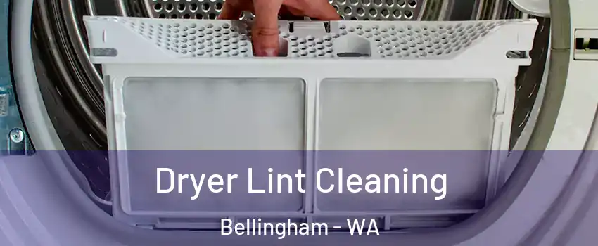  Dryer Lint Cleaning Bellingham - WA