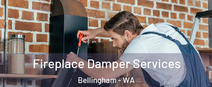  Fireplace Damper Services Bellingham - WA