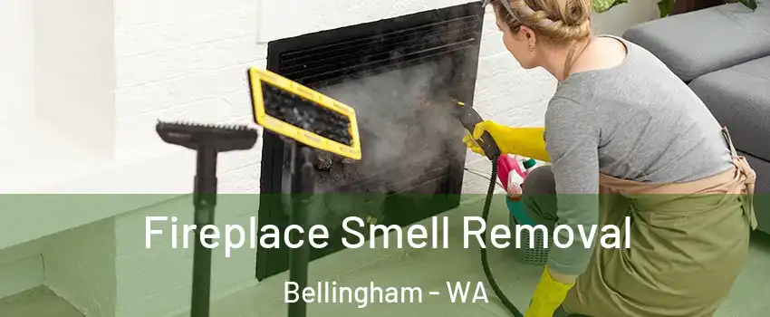  Fireplace Smell Removal Bellingham - WA