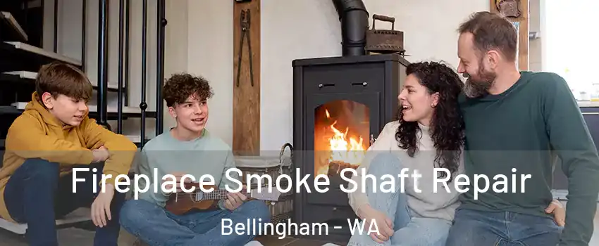  Fireplace Smoke Shaft Repair Bellingham - WA