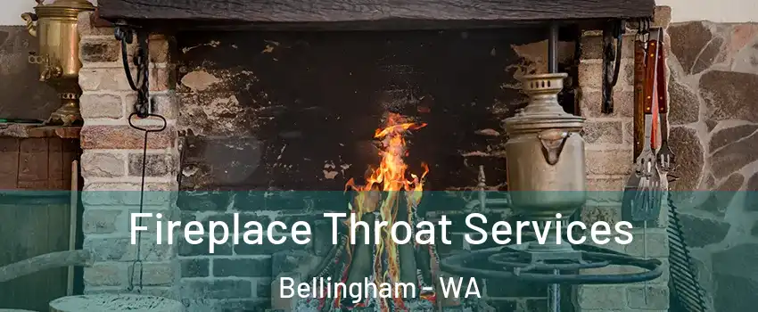  Fireplace Throat Services Bellingham - WA
