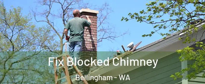  Fix Blocked Chimney Bellingham - WA