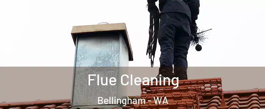  Flue Cleaning Bellingham - WA