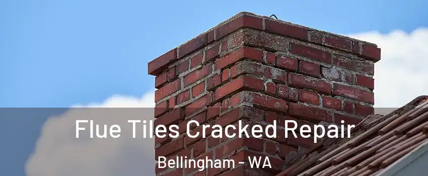  Flue Tiles Cracked Repair Bellingham - WA