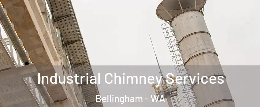  Industrial Chimney Services Bellingham - WA