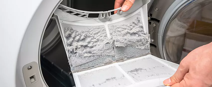 Best Dryer Lint Removal Company in Bellingham, Washington