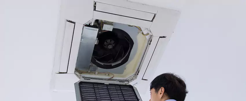 Benefits of Professional Air Duct Cleaning in Bellingham, Washington