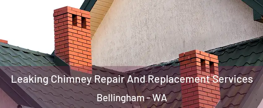  Leaking Chimney Repair And Replacement Services Bellingham - WA
