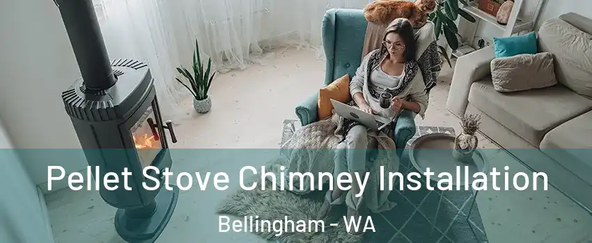  Pellet Stove Chimney Installation Bellingham - WA