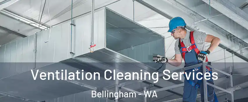  Ventilation Cleaning Services Bellingham - WA