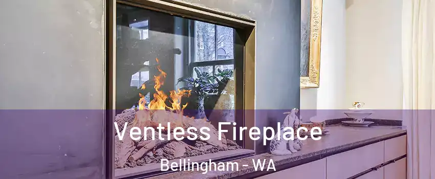  Ventless Fireplace Bellingham - WA